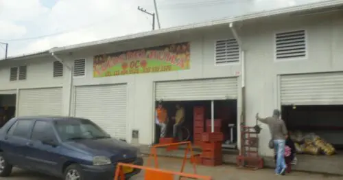 LULOS DEL HUILA LULOS DEL HUILA